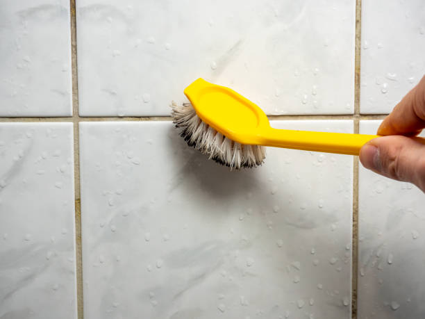 Best DIY Mold Remediation Support Services in Wyandotte, MI