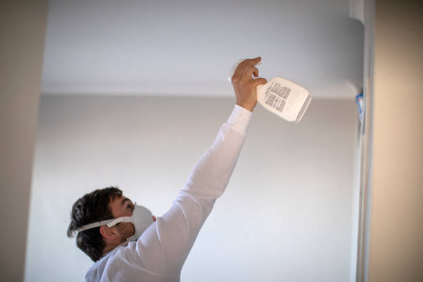 Best DIY Mold Remediation Support Services in Wyandotte, MI