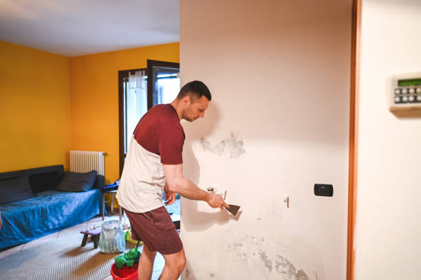 Best Attic Mold Remediation in Wyandotte, MI